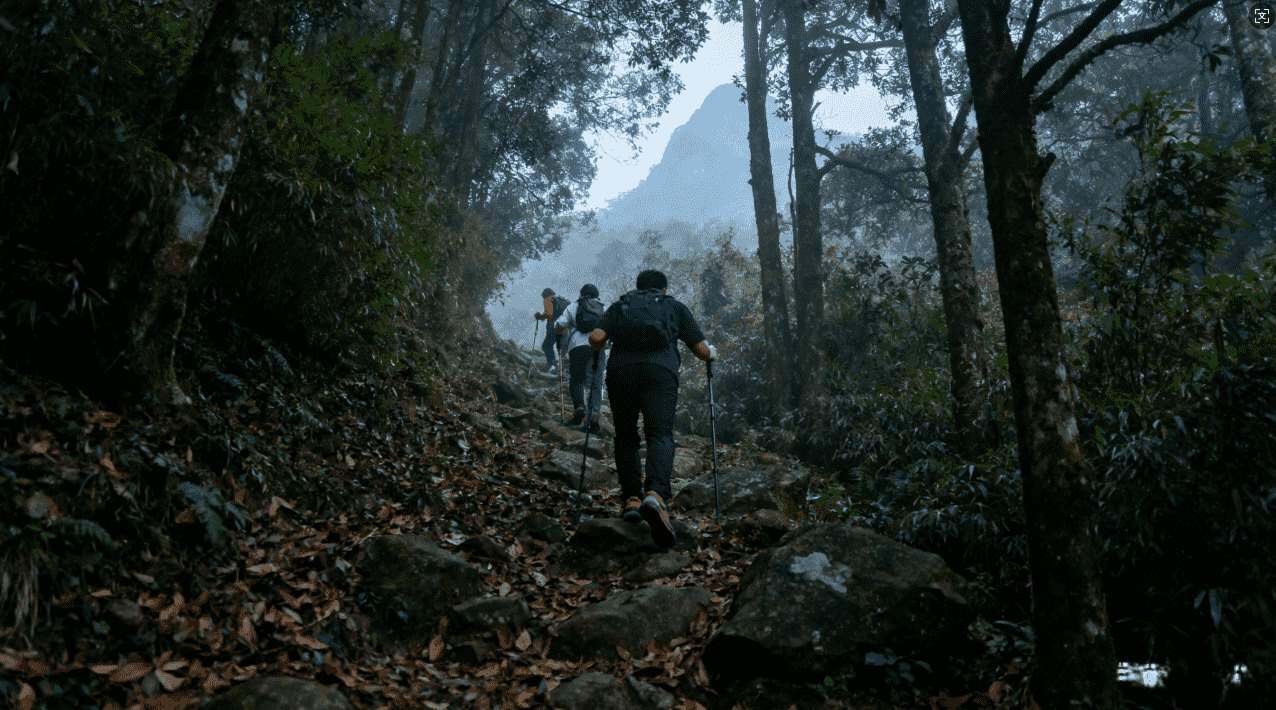 最佳原子加速器安卓版无广告体验推荐